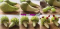 /album/fotogalerie-jidlo-a-piti/beautiful-hedgehog-from-pears-jpg/